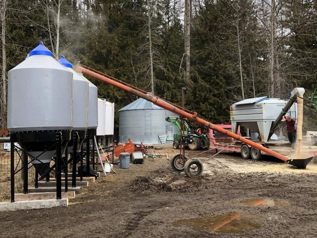 three 100 bushel hopper bottom grain bins being filled with a grain auger at a feed mill